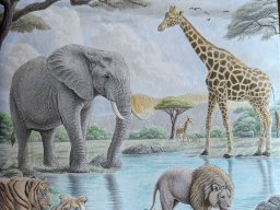 whatsapp image 2026-02-23 at 11.40.36